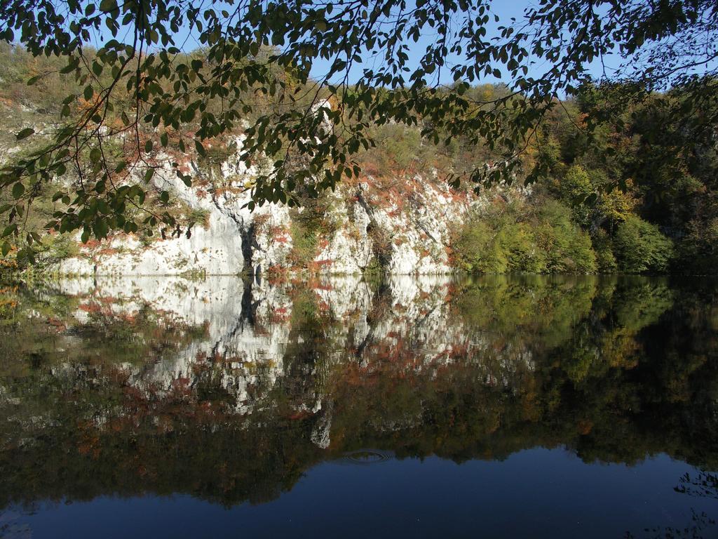 B&B Plitvice Lakes Villa Irene Seliste Dreznicko Eksteriør billede