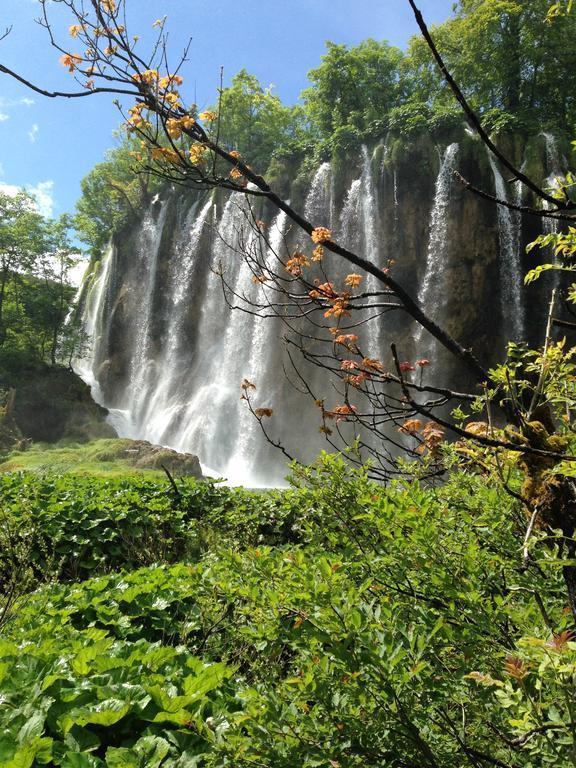 B&B Plitvice Lakes Villa Irene Seliste Dreznicko Eksteriør billede